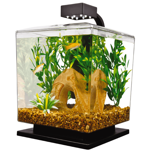 1.5 Gallon Cube-shaped Tetra LED Aquarium Starter Kit Ideal for Beginners