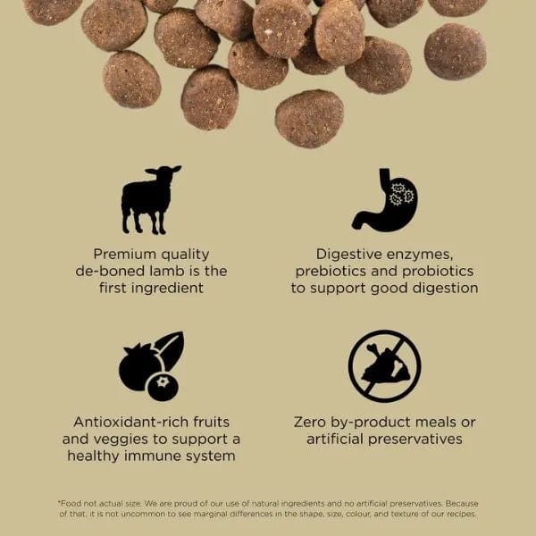 Go! Solutions Grain-Free High-Protein Lamb & Wild Boar Dry Dog Food