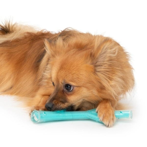 Small Zeus Duo Stick: Durable Chew & Fetch Toy with 4 Attractive Scents