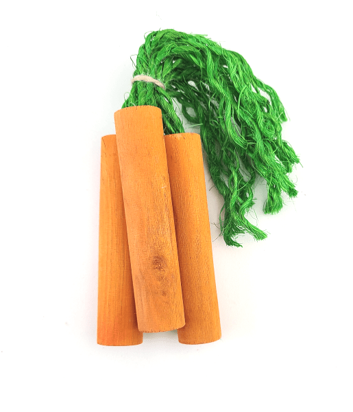 Moss Hollow 3-Pack Natural Carrot Sticks Chew for Pets' Dental Health