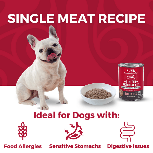 KOHA Premium Canned Beef Entrée Dog Food for Dogs with Extreme Food Sensitivities
