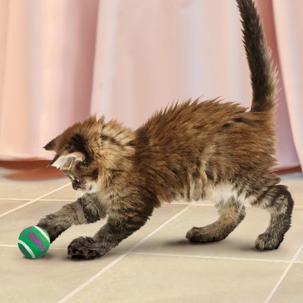 KONG Interactive Cat Tennis Balls with Bells - Ideal Active Toy for Cats
