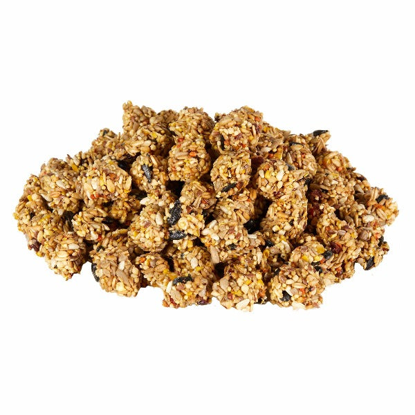 Kaytee Pet Superfood Granola Bites with Cranberries, Apples, and Flax Seeds