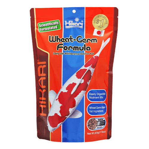 Hikari Floating Koi Wheat Germ Pellet - Ideal Daily Diet for Koi