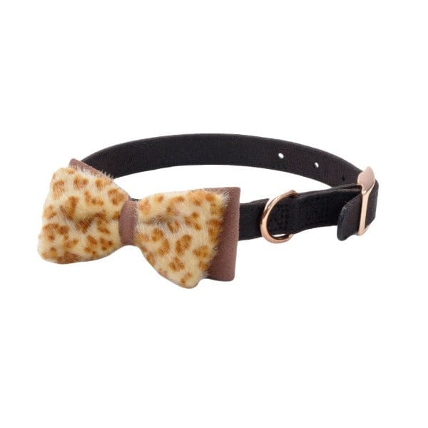 Coastal Fashionable Microfiber Dog Collar with Stylish Embellishments