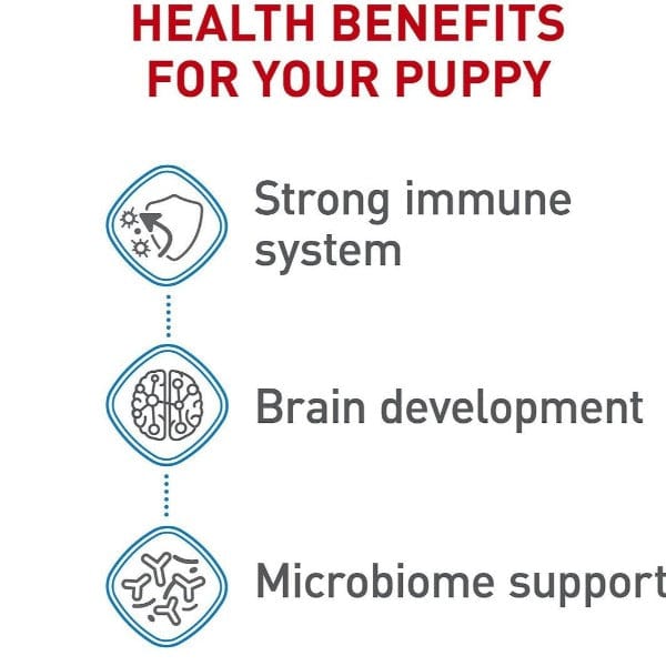 Royal Canin Dry Dog Food Specially Formulated for Medium Puppies