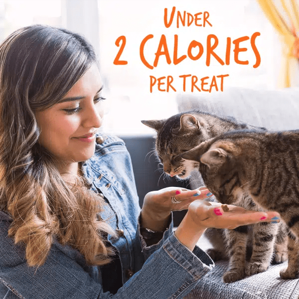Fruitables Healthy Low - Calorie Cat Treats with Tuna and Pumpkin Flavor