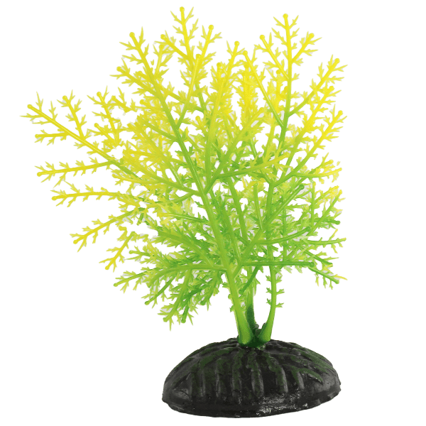 Yellow & Green Hygrophila Plastic Betta Fish Gear Plants (Set of 4)