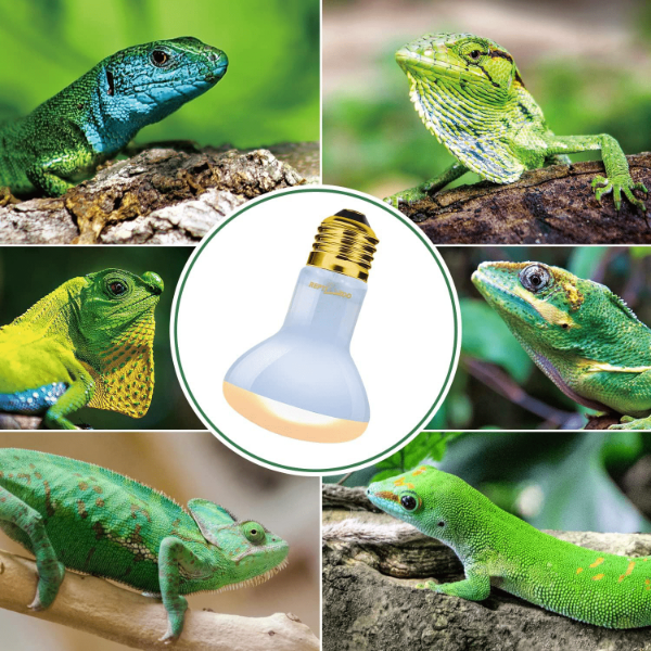 Reptizoo Upgraded Daylight Basking Spot Lamp for Reptiles