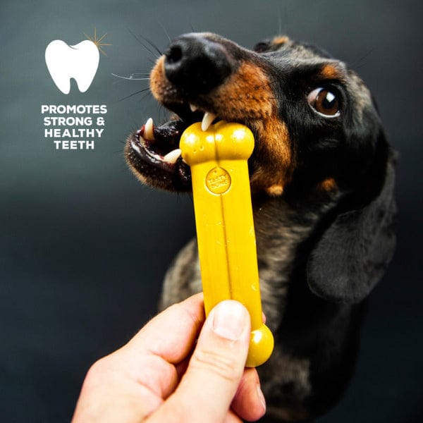 Delicious TastyBone Nylon Dog Chew with Chicken Flavor