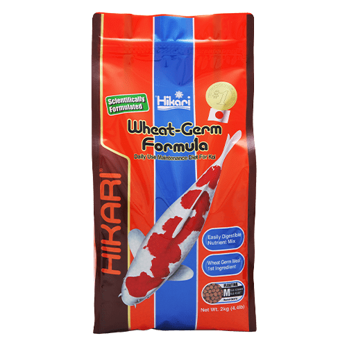 Hikari Floating Koi Wheat Germ Pellet - Ideal Daily Diet for Koi