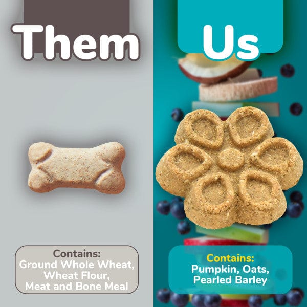 Fruitables Biggies Premium Almond Butter and Coconut Flavored Dog Biscuit Treats