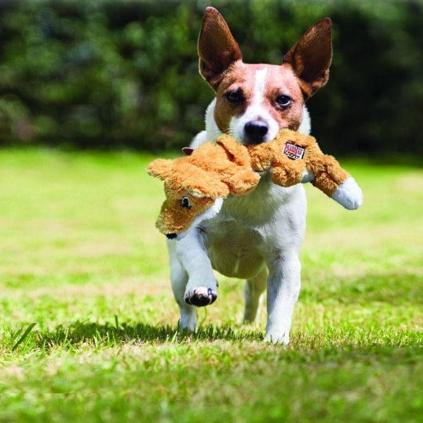 KONG Realistic Scrunch Knots Racoon Dog Toy for Light Chewing