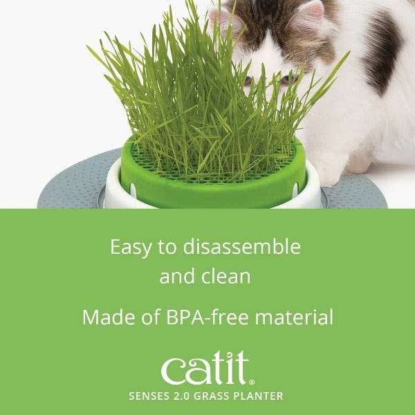 Catit Senses 2.0 Indoor Cat Grass Planter with Design Upgrades