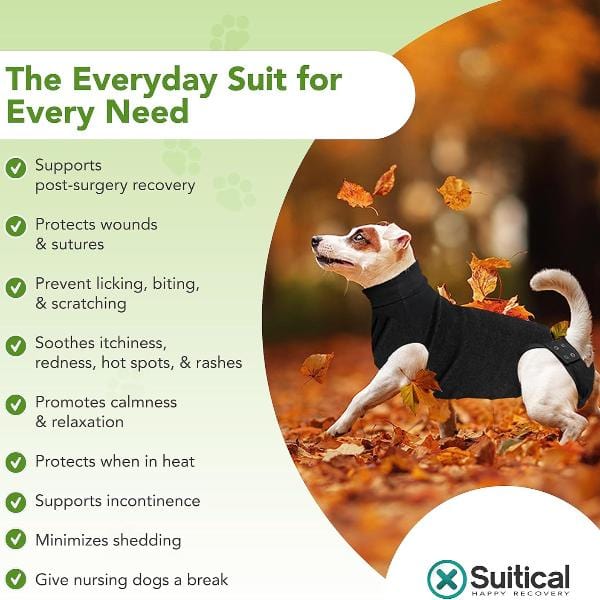 Premium Dog Recovery Suit - Suitical Brand for Post - Surgery and Various Conditions
