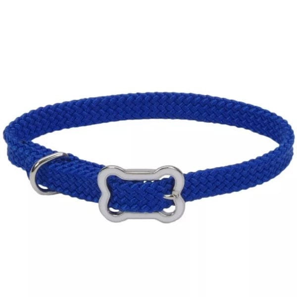 Stylish Coastal Bone - Buckled Sunburst Adjustable Dog Collar for Puppies
