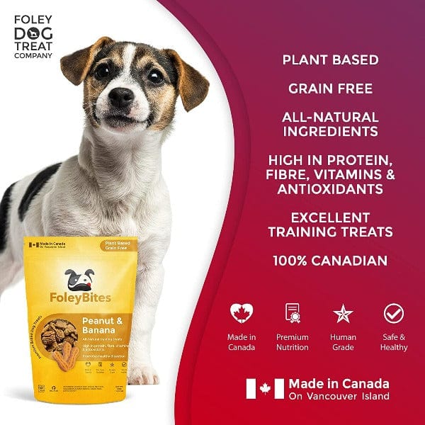 Premium Baked Foley Bites Dog Treats with Peanut and Banana Flavors