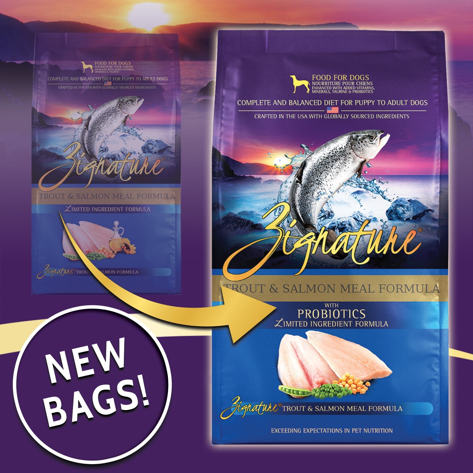 Zignature Premium Limited Ingredient Dry Dog Food with Trout and Salmon Formula