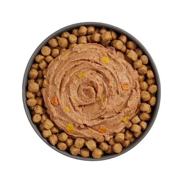 Go! Solutions High - Quality Booster Immune - Supportive Tuna Pate Wet Food for Cats