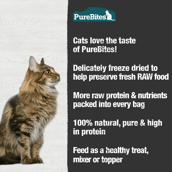 PureBites 66g Freeze - Dried Wild - Caught Minnow Cat Treats