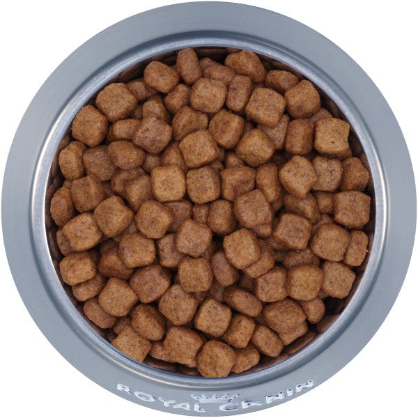 Royal Canin Adult Dry Dog Food Specially Formulated for Pure - bred Dachshunds