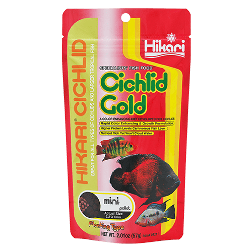 Hikari Gold Floating Pellets for Cichlids and Larger Tropical Fish