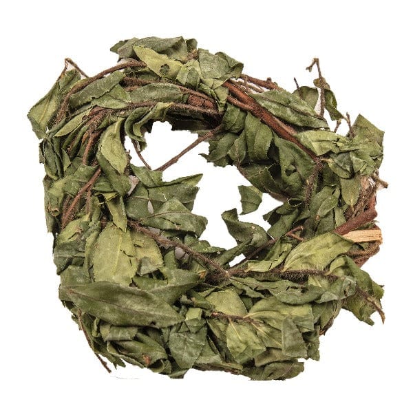 Small Pet Delight - Tea Time Wreath for Enjoyable Chewing