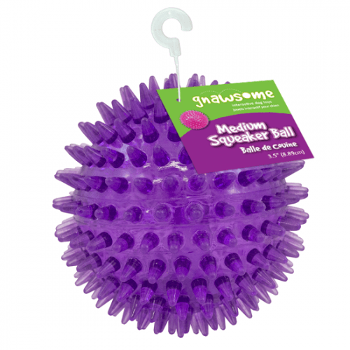 Gnawsome 3.5-Inch Medium Squeaker Ball with Spiky Texture for Dogs