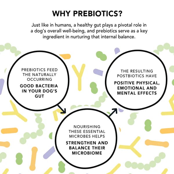 Crumps' Naturals Gutsy Balance Bites for Optimal Pet Gut Health