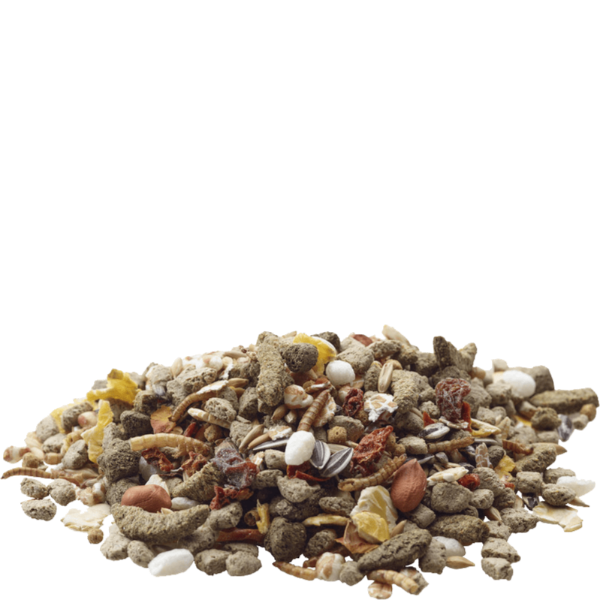 Versele-Laga High - Quality Nature Rat Food Mixture for Active Rats