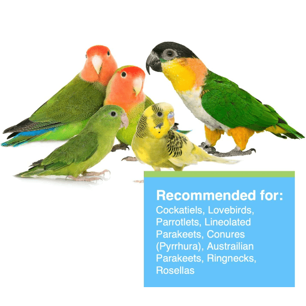 Tropimix High - Quality Enrichment Food Blend Specially Designed for Cockatiels, Lovebirds, and Small Parrots