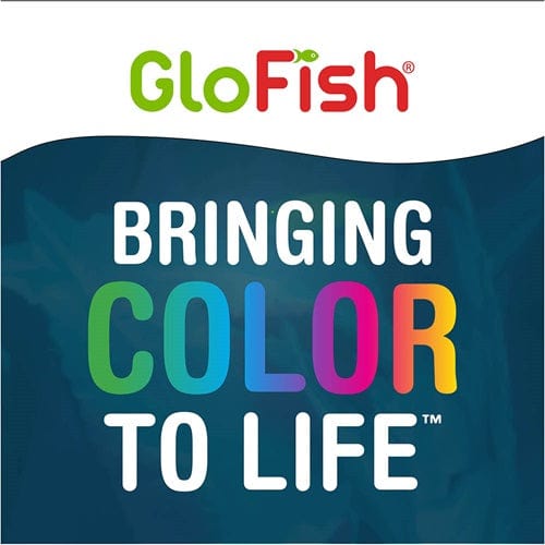 Special Flake Food for GloFish Fluorescent Fish