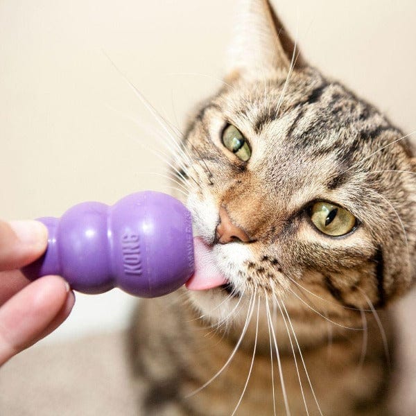 KONG Interactive Treat - Dispensing Kitty Toy for Curious Cats
