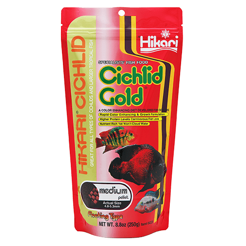 Hikari Gold Floating Pellets for Cichlids and Larger Tropical Fish