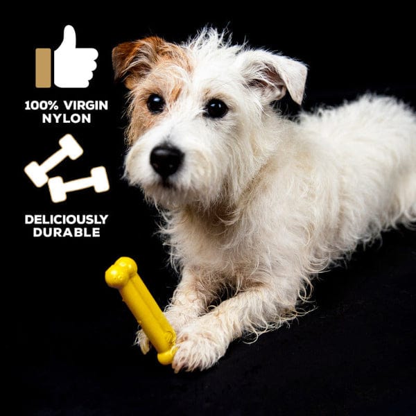 Delicious TastyBone Nylon Dog Chew with Chicken Flavor