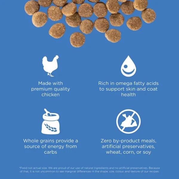 Go! Solutions Grain-Included Dry Dog Food with Chicken Recipe for Skin and Coat Care