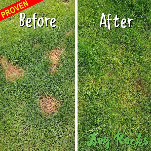 Dog Rocks 200g - Keep Your Lawn in Perfect Condition Naturally