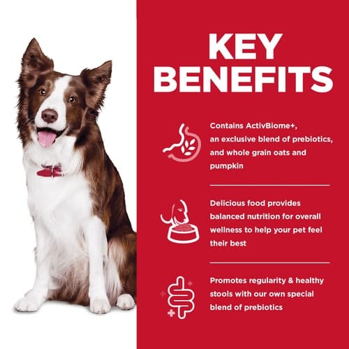 Hill's Science Diet Dry Dog Food for Adult Canines - Chicken Recipe for Perfect Digestion, 22lb Package