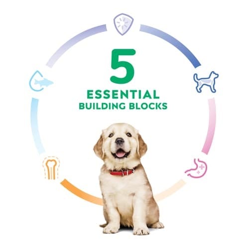 Hill's Science Diet Dry Dog Food - Chicken & Brown Rice Recipe for Large Breed Puppies