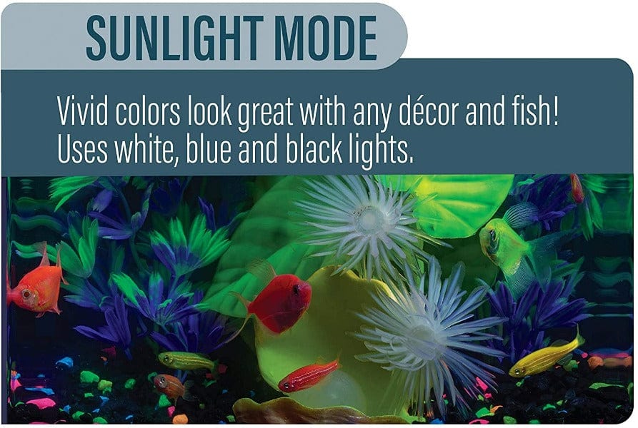 GloFish LED Cycle Light with 4 Color - Changing Modes