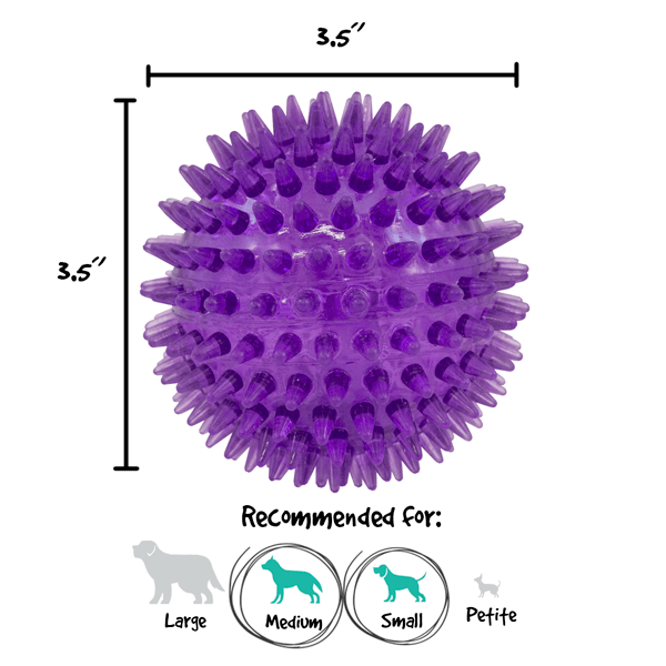 Gnawsome 3.5-Inch Medium Squeaker Ball with Spiky Texture for Dogs
