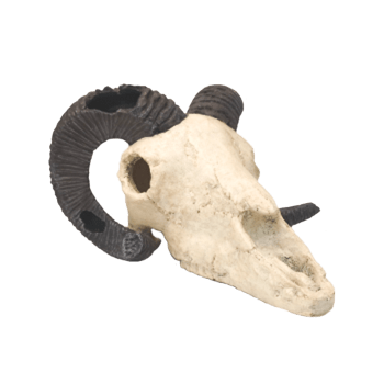 High - Quality Fish Tank and Terrarium Rams Skull Aquarium Decorative Ornament