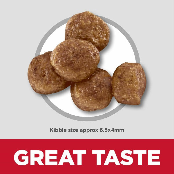 Hill’s Science Diet Puppy Dry Dog Food with Chicken and Brown Rice Recipe