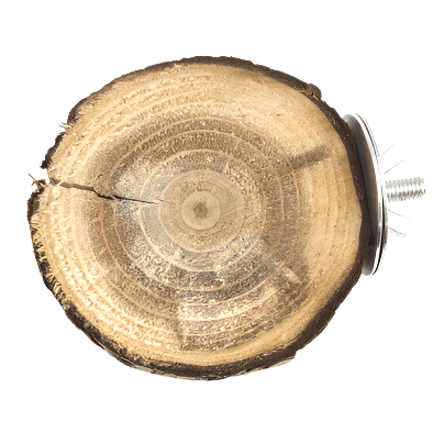 Natural Wood Moss Hollow Trunk Perch for Small Furry Pets