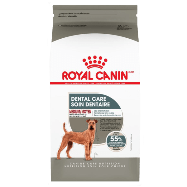 Royal Canin Dry Dog Food for Medium Adult Dogs with Dental Care, 28-Pound Bag