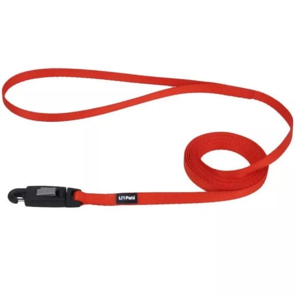 Li'l Pals Stylish Dog Leash with Easy - Clip E - Z Snap