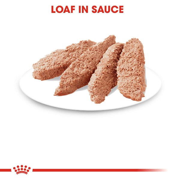 Royal Canin Adult Instinctive Canned Cat Food in Savory Sauce