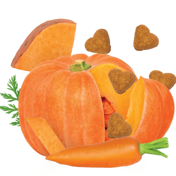 Darford Oven-Baked Grain-Free Dog Treats with Pumpkin Recipe
