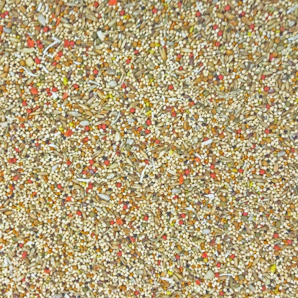 Sunburst Premium Parakeet Food with Gourmet Blend