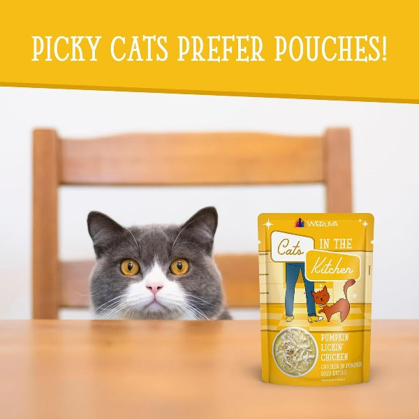 Cats in the Kitchen Pumpkin - Infused Boneless Chicken Pouch Cat Food